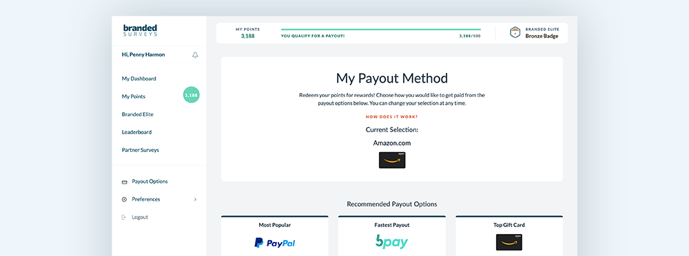 Branded Surveys payment options