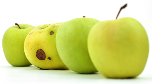 good and bad apples