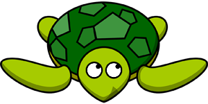 Tortoise