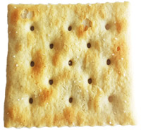 saltine cracker