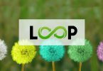 Loop surveys logo superimposed on different colored dandillions