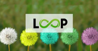 Loop surveys logo superimposed on different colored dandillions