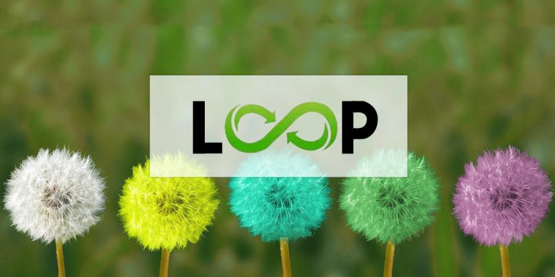 Loop surveys logo superimposed on different colored dandillions