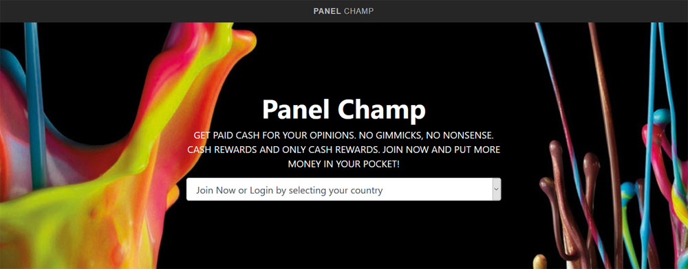 Sitio web de Panel Champ
