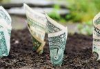 Paypal money in soil
