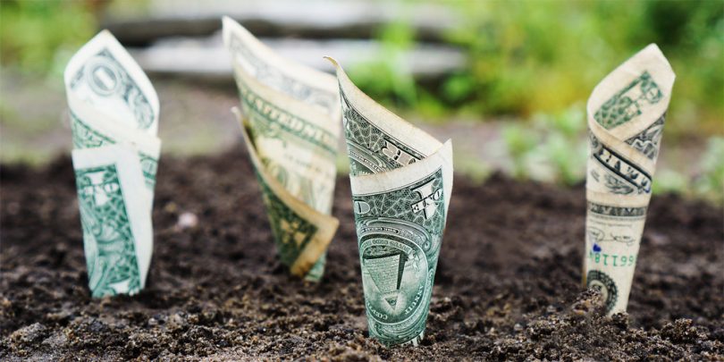 Paypal money in soil