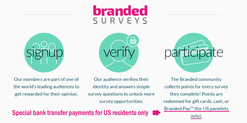 Branded Surveys Branded Pay