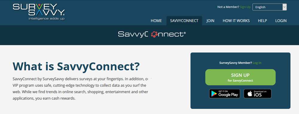 SavvyConnect Website