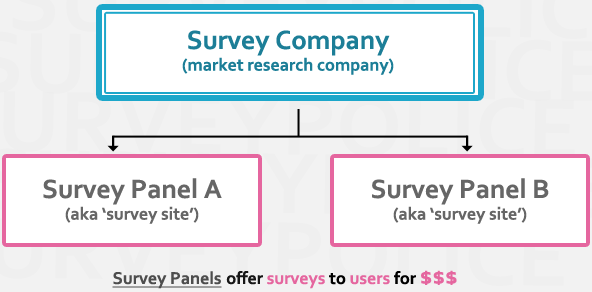 Survey company flow chart