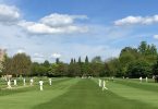 Cricket players on field