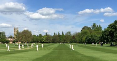 Cricket players on field