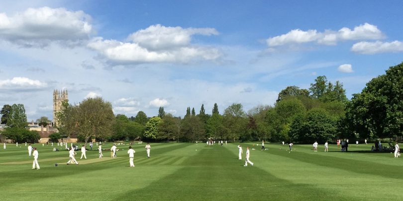 Cricket players on field