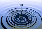 Water droplet causing a ripple