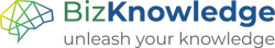 BizKnowledge logo