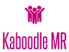 kaboodle