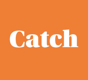 catch panel