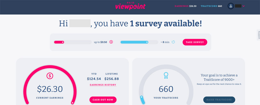 paidviewpoint website