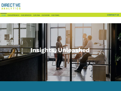 Directive Analytics Panel website screenshot
