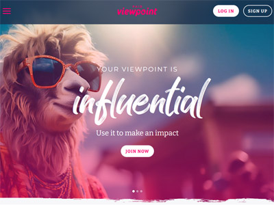 Paidviewpoint website