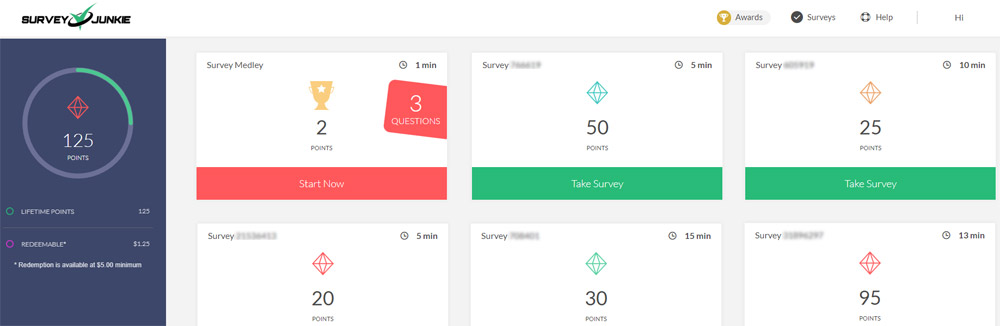 survey junkie surveys