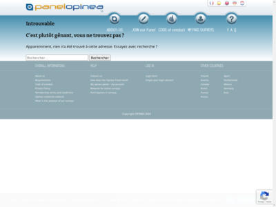 Opinea Panel website screenshot