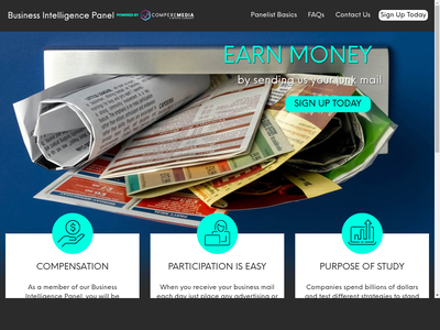 Business Intelligence Panel website screenshot
