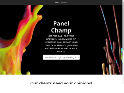 Panel Champ website screenshot