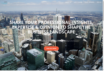 Panel Engage website screenshot