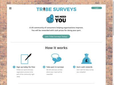 Tribe Surveys  website screenshot