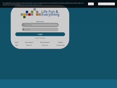 Life Fun and Everything website screenshot