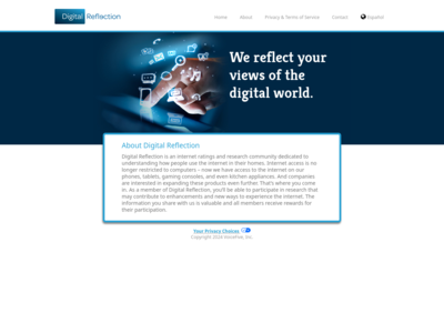Digital Reflection Panel website screenshot