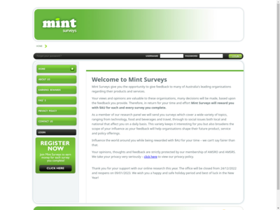 Mint Surveys website screenshot