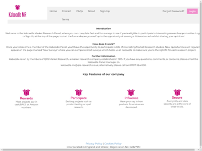 Kaboodle Research Panel website screenshot