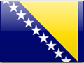 Bosnia and Herzegovina flag