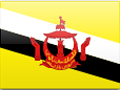 Brunei Darussalam flag