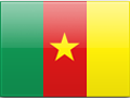 Cameroon flag