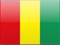 Guinea flag