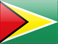 Guyana flag