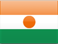 Niger flag