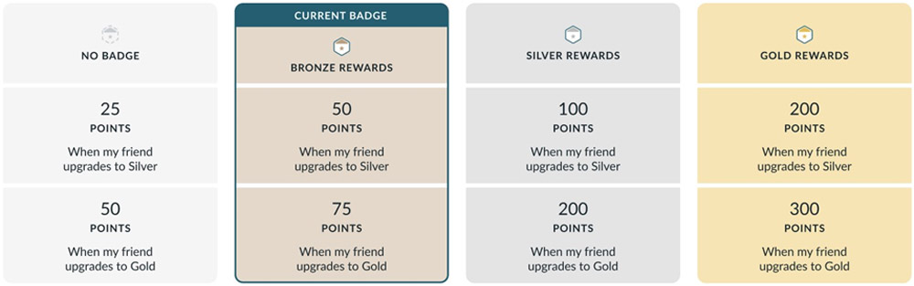Branded Surveys referral program