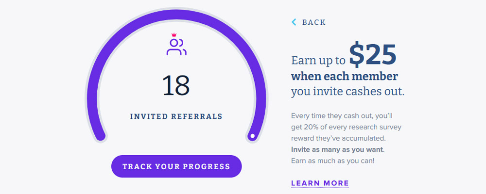 paidviewpoint referrals