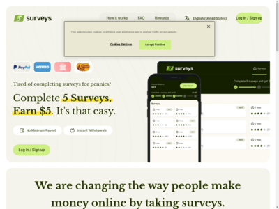 5 Surveys website screenshot